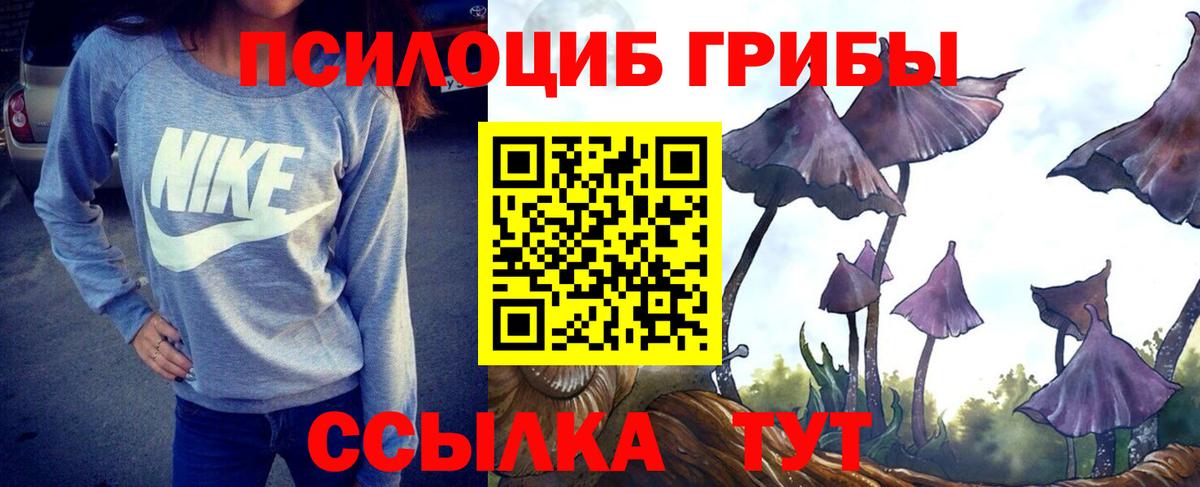 Сальск  Галлюциногенные грибы Cubensis  Вход с VPN 